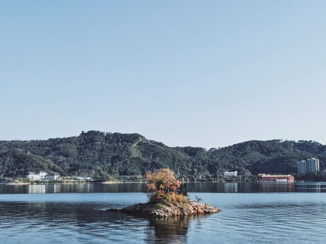 千島湖絕美湖心島嶼丨獨占小島的度假酒店