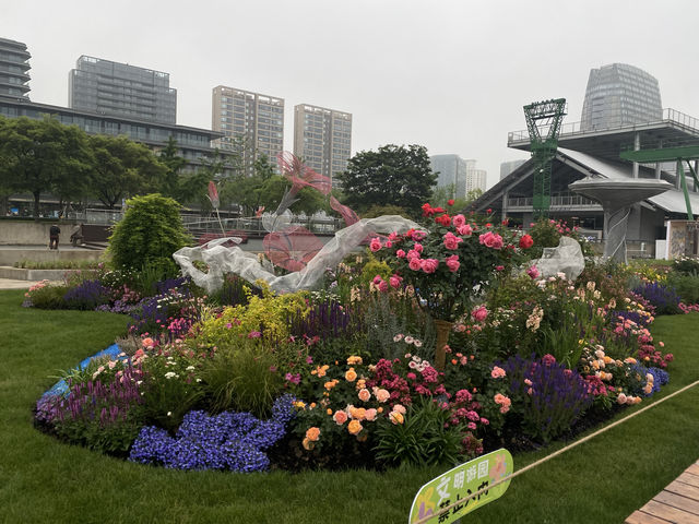 五一去哪玩｜徐匯濱江的花展美哭了！