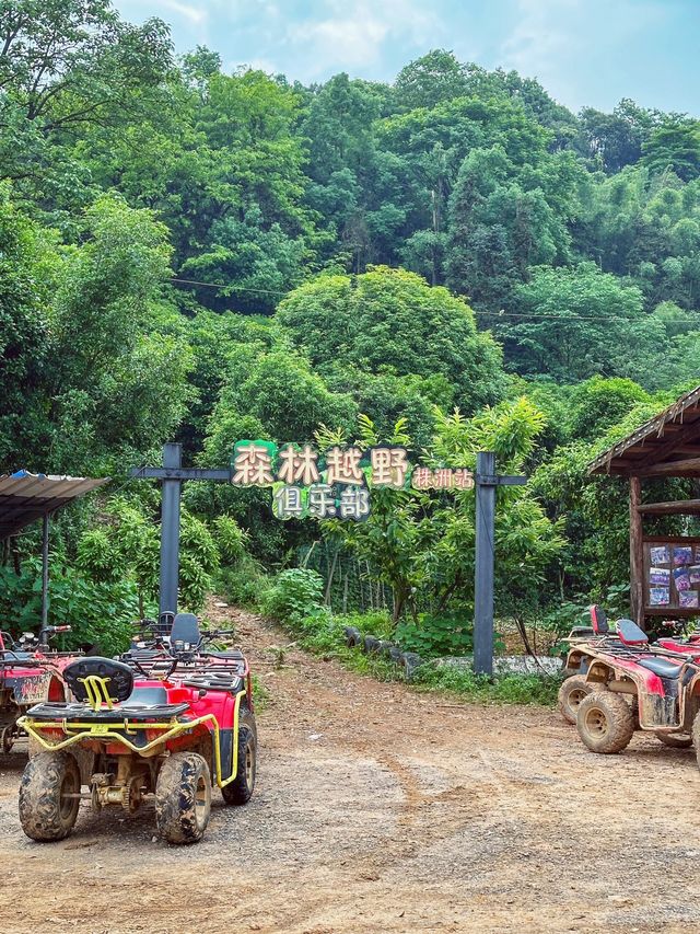 株洲周邊遊推薦荷塘區鴕鳥農場