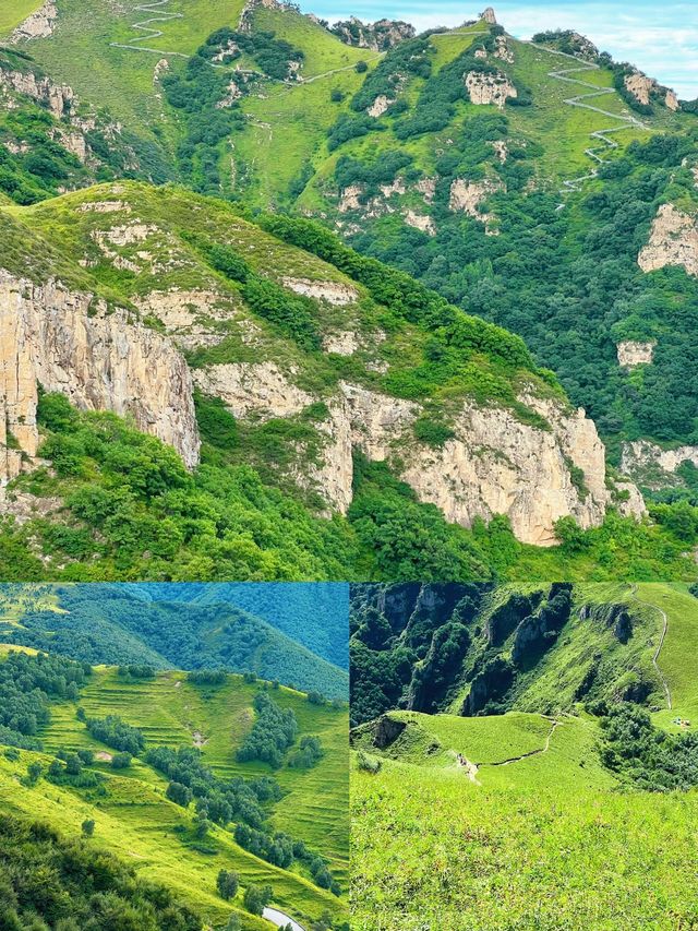 月底北靈山的高山草甸美醉了
