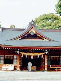 【熊本】出水神社：歷史悠久絕佳春遊去處