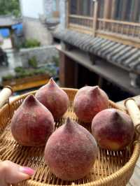 打工暫停 | 來麗江這家小院體驗養老生活