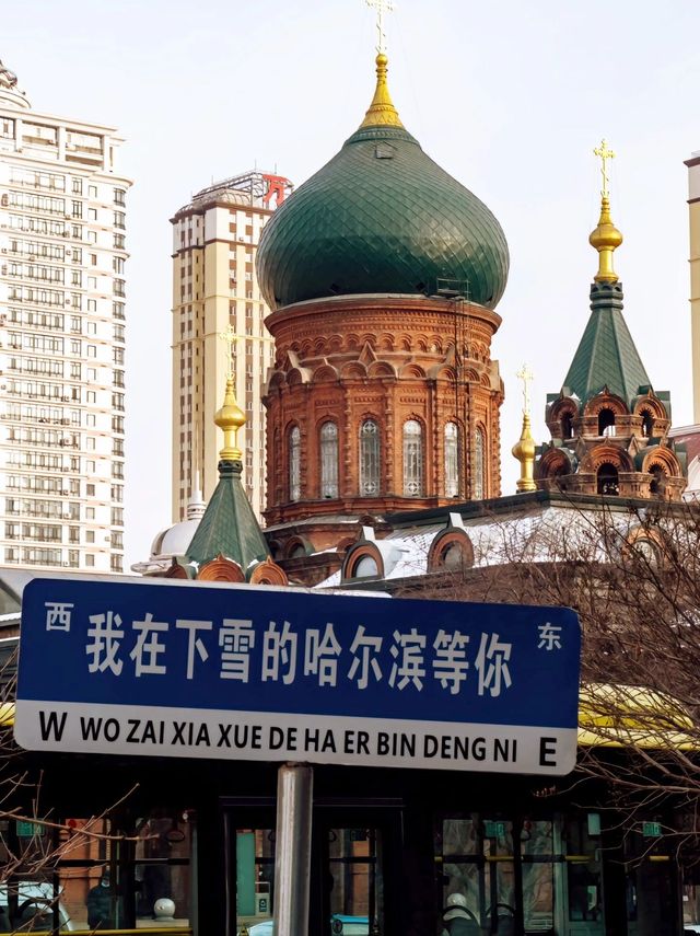 哈尔滨雪鄉（超全攻略）向導包車自由行。