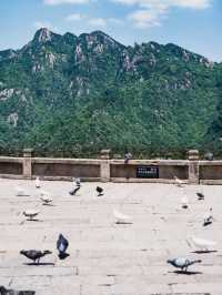 逃離城市計劃九華山避暑拜佛聖地