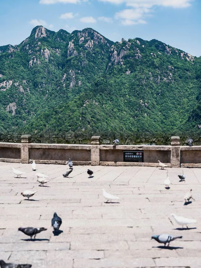 逃離城市計劃九華山避暑拜佛聖地