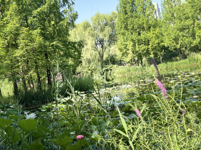 濟南森林公園