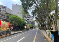 漫步成都泡桐樹街｜感受文藝與歷史的交織