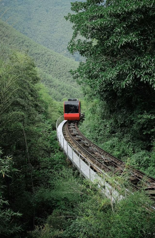江浙滬最寶藏的旅行城市出現了