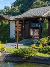 Chiang Mai's Hidden Japanese Retreat 🏯🍁