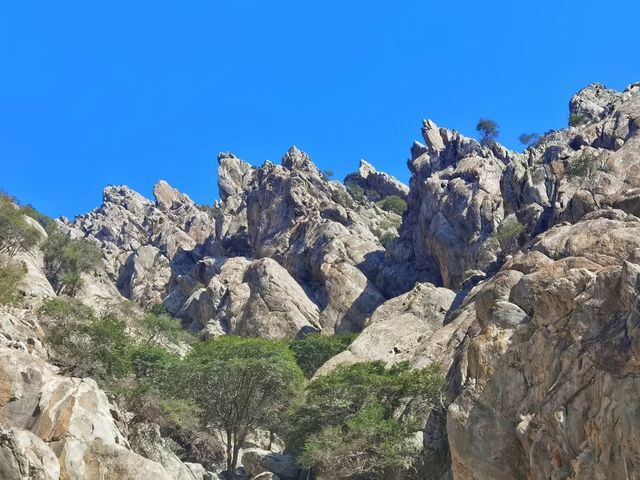 贺蘭山
