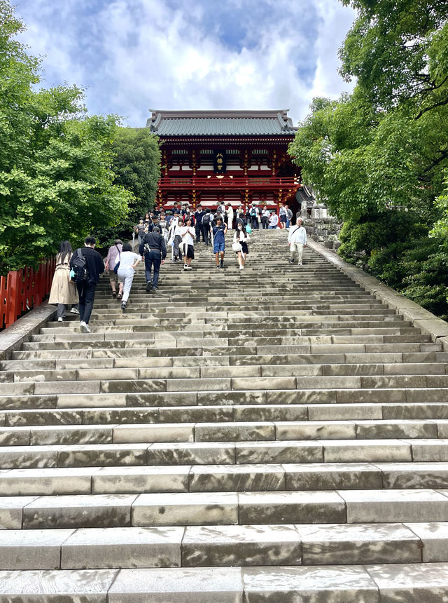 鎌倉鶴岡八幡宮，太漂亮了