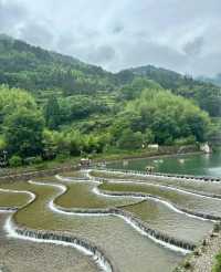 夏天 25°C，浙江這個被嚴重低估的寶藏小城藏在包郵區的香格