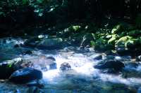 廣州周邊-夏日避暑親水勝地