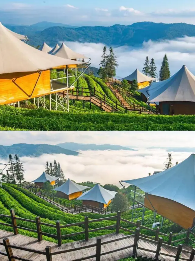 Tea fragrance everywhere! In Pu'er, Yunnan, stay in a cloud paradise