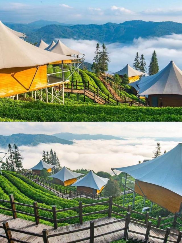 茶香肆意!在雲南普洱,住進雲端仙境裡 茶香肆意!在雲南普洱,住進雲端仙境裡