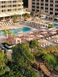 🌴 Palm Beach Paradise: Top Hotel Picks! 🏖️