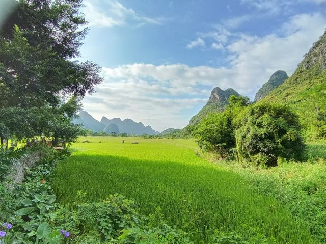 陽朔仙境之旅碧蓮江景大酒店的完美邂逅