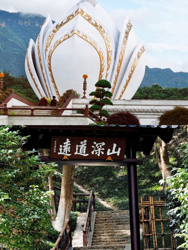 東林寺|江西旅遊除了廬山我更建議你來這裡