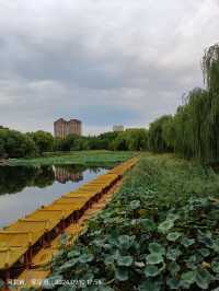 競秀公園。