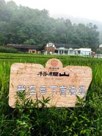 在重慶人間仙境滿眼盡是青翠——習水梧桐山山林裡的民宿。
