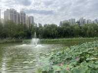 西安興慶宮公園小記。