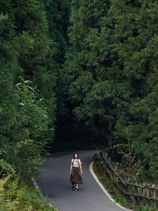 重慶主城2小時車程,我在這座山上感到非常寒冷。