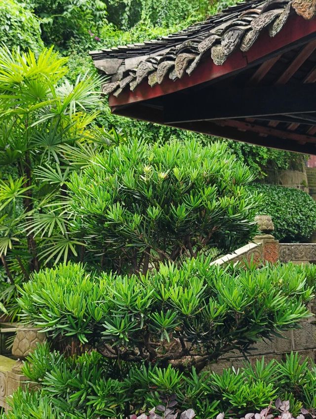 四川旅遊 | 開門見山第一寺–峨眉山報國寺。
