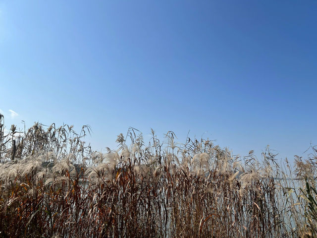 寧波 | 本地人都強推的旅行攻略。