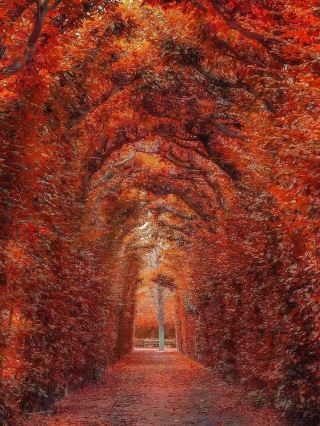 Don't miss this beautiful city in autumn!