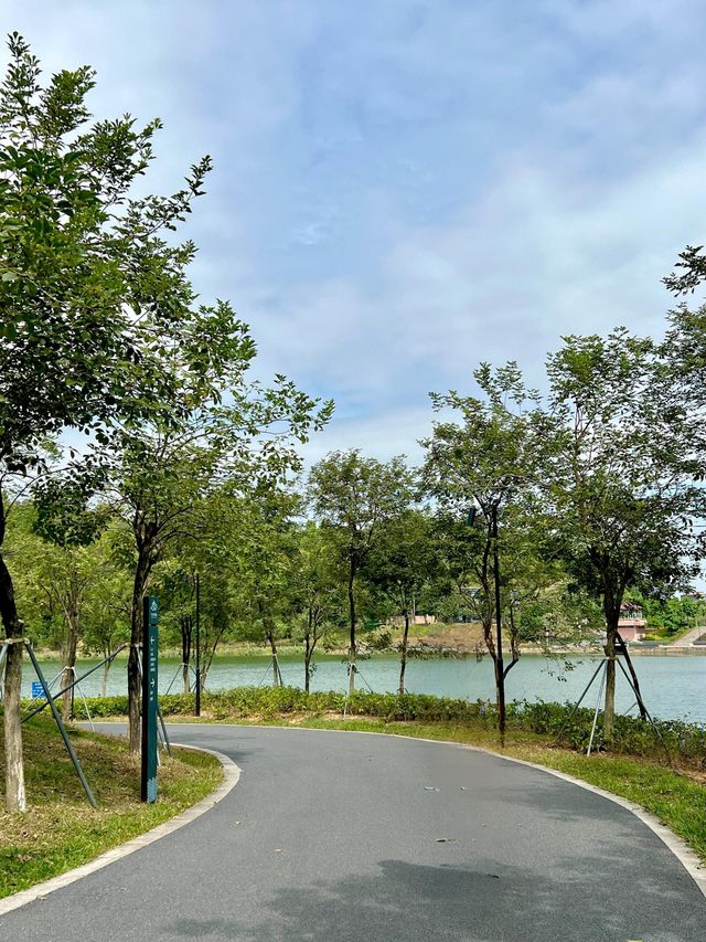 東莞小眾 citywalk 秋日浪漫指南。