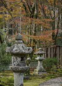 名古屋周邊｜上高地封山也能進噢。