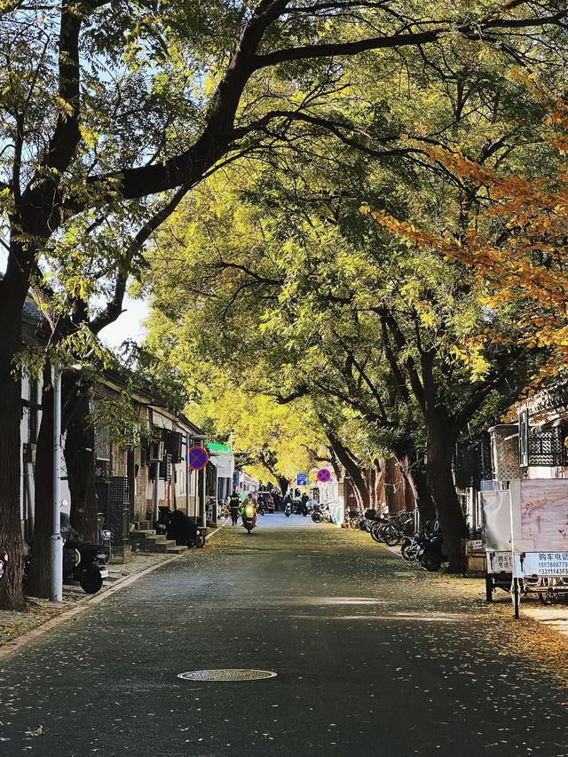 史家胡同，大氣端莊。