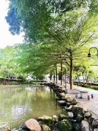 廣州增城區太子坑森林公園|這觀賞日落勝地你不會還不知道吧。