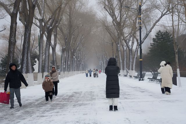 初冬，冰城的第一場雪。