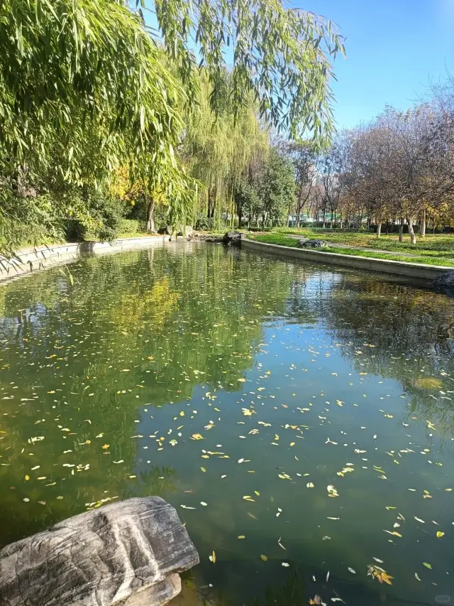 大明宮國家遺址公園美美的。