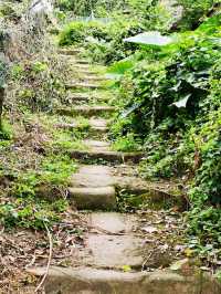 重訪貢井艾葉沙塘半島