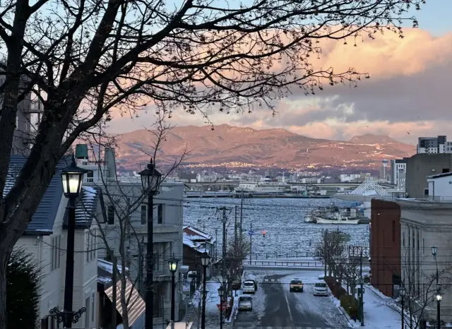 Hakodate｜You are truly breathtaking.