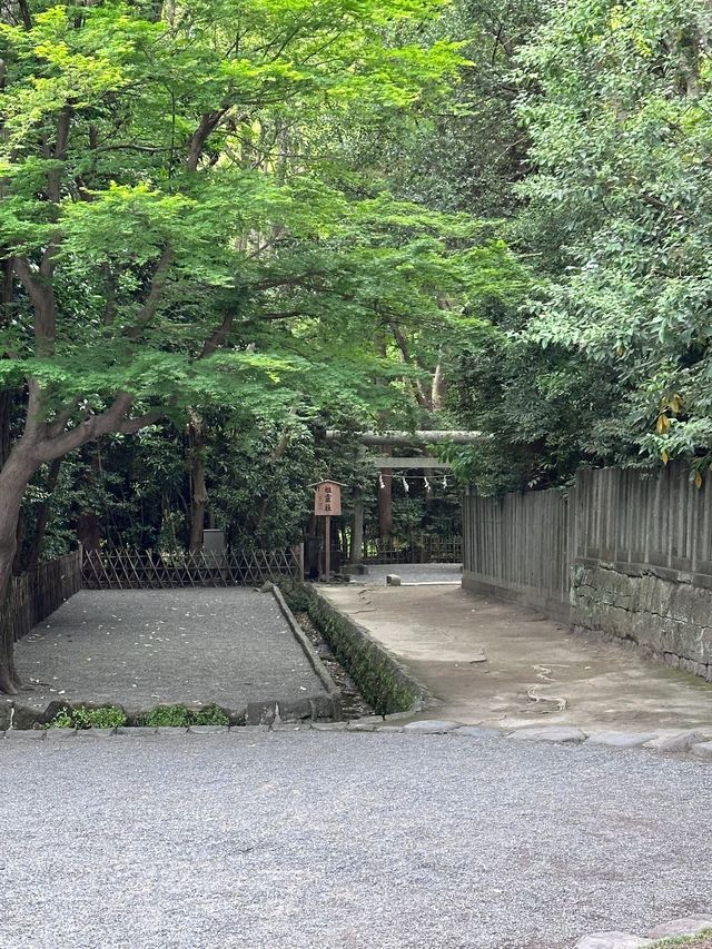 6日探秘日本 溫泉之旅不重樣