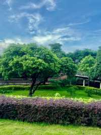 周末好去處！
