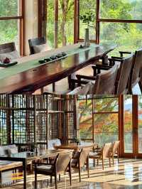 景邁山這家隱秘酒店，讓我睡進了普洱茶園