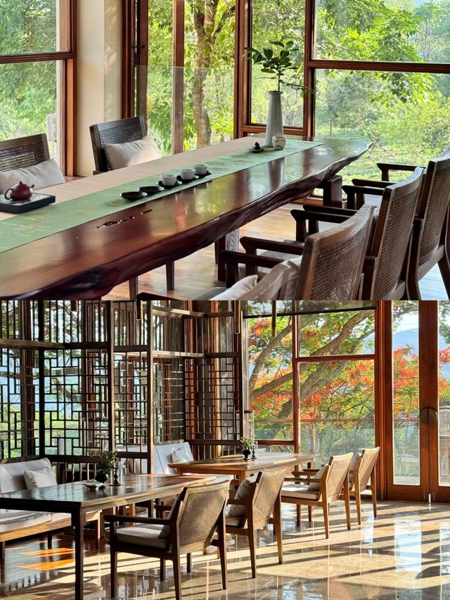 景邁山這家隱秘酒店，讓我睡進了普洱茶園