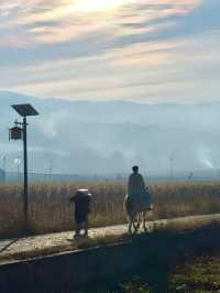 Country Walk | 沙溪兩天一夜放空指南