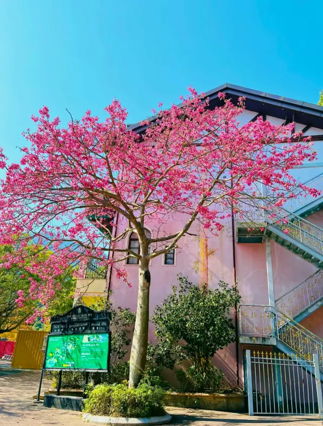 深圳東部華僑城遊玩攻略