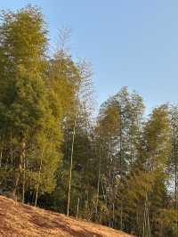 景德鎮浮梁高嶺中國村·花開幸福里酒店