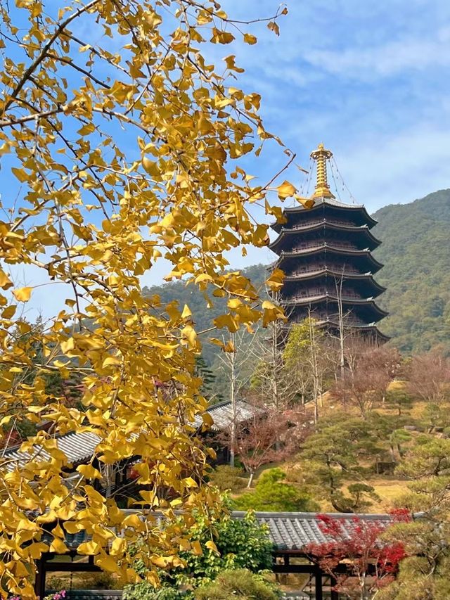 乳源雲門寺| 隨緣而來，隨心而至