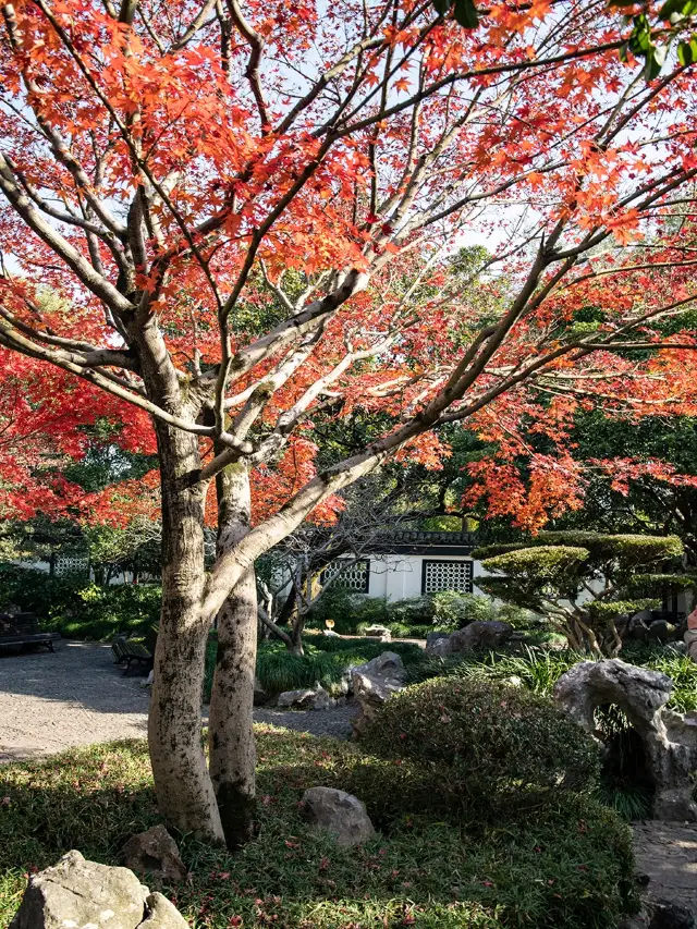 สวนกุ้ยหลิน เซี่ยงไฮ้