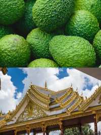 孟連，寧靜的過冬小城