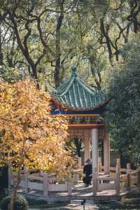 韶關雲門寺 | 佛國山川間，唐風庭院深