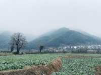 盧村遊之盧村觀景平台
