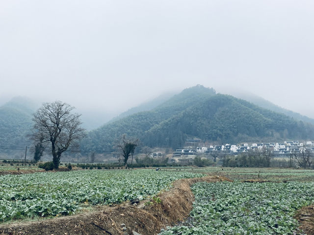 盧村遊之盧村觀景平台